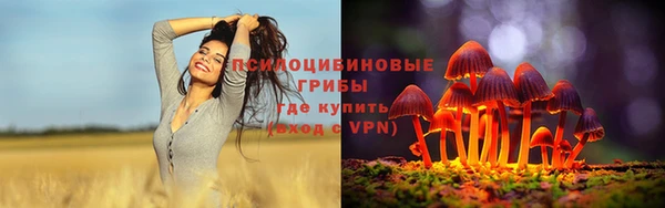 дурь Ивангород