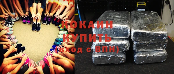 прущие грибы Зуевка