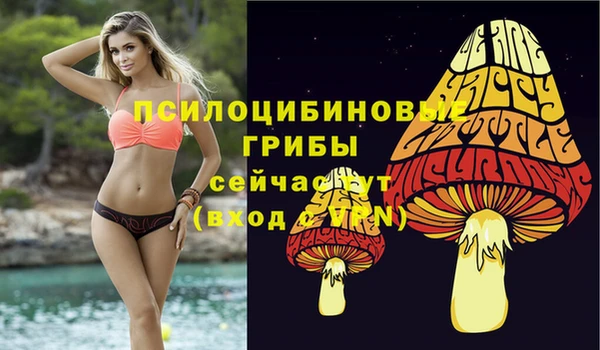 mix Осташков