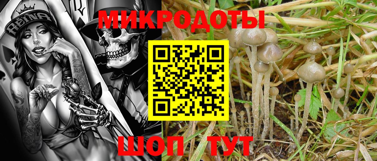 Галлюциногенные грибы мухоморы Спасск-Дальний