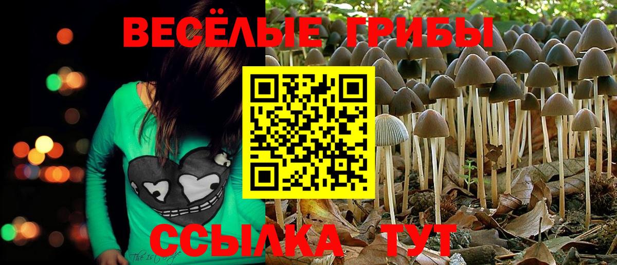 Псилоцибиновые грибы MAGIC MUSHROOMS  Вход с VPN  Спасск-Дальний 